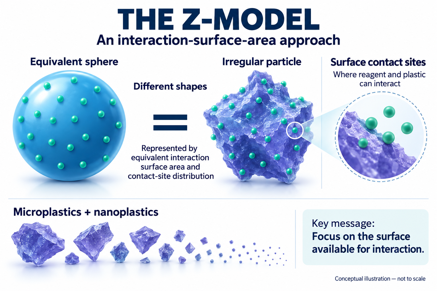 Conceptual Z-model illustration showing an irregular particle represented by an equivalent sphere with interaction surface area and contact sites.